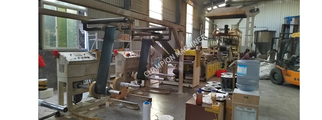 Thermoforming PET Seedling-Raising Plate Extrusion Line Forming Product PET